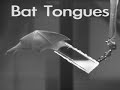 Slow-Mo Bat Tongues Lap Nectar | Video