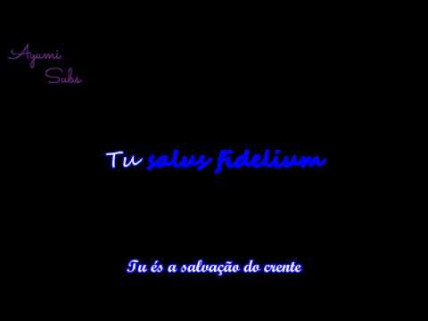 Salve Virgo Virginium Video
