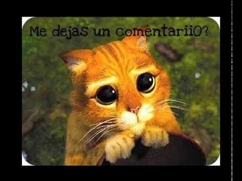 VIDEO EDDY HERRERA DORMIR JUNTITOS video eddy herrera dormir juntitos: