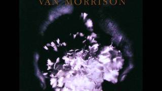 Video Enlightenment Van Morrison