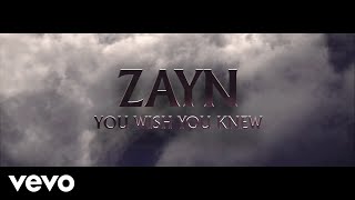 Watch Zayn You Wish You Knew video