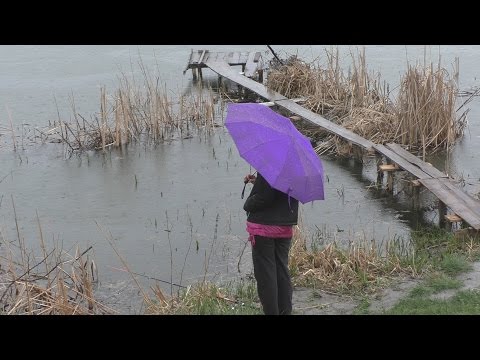 ловля карася ранней весной украина ловля карася ранней весной украина