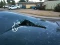camaro repo gone bad