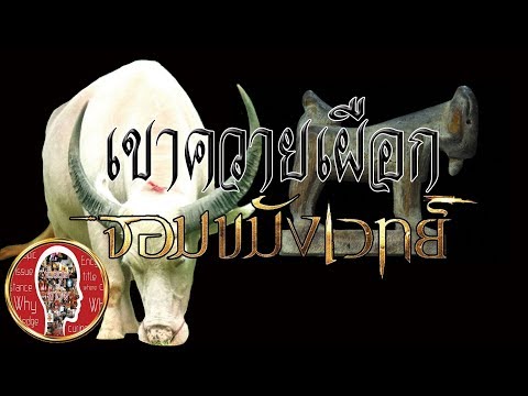 Eager of Know : เขาควายเผือกฟ้าผ่า แกะสลักแพะ ของขลังจอมขมังเวทย์