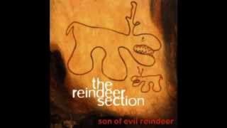 Watch Reindeer Section You Are My Joy video