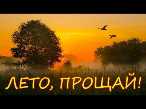 Лемох лето с поздравлениями Лемох лето с поздравлениями