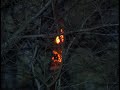 Grote-brand Nieuwerkerk
