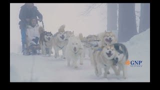 Hotel Iglú, Rusia 2018
