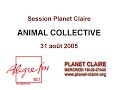 Animal Collective - Flesh Canoe