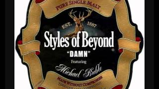Watch Styles Of Beyond Damn video