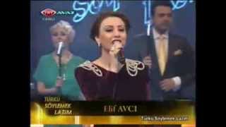 Elif Avci - Cici Papu Cici