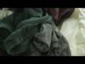 Mystic Laundry - Uttara Kuru
