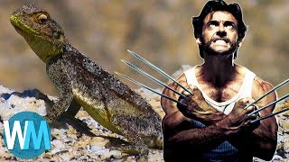 top 10 most incredible animals with legit superpowers