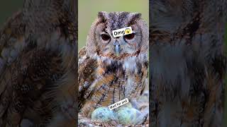 Omg Ullu Train Me Baccha Deta Hai
