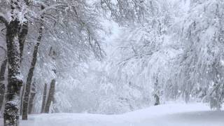 Fake Snow