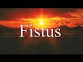 YouTube Kacke: Das Leben des Fistus (Director's Cock)