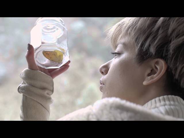 short movie「Winter's Butterfly」