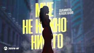 Шамиль Кашешов - Мне Не Нужно Ничего | Премьера Трека 2024