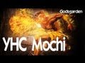 YHCMochi [Dhalsim] Godsgarden Matches Compilation
