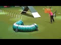 agility