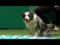 agility