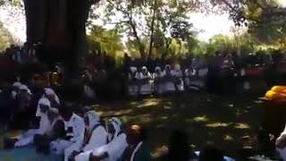 Gadaa Oromoo Maccaa Jimmatti