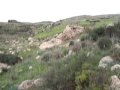 Ighil (Tarihant)