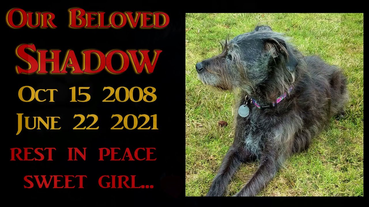 Shadow's Memorial October-15-2008 to June-22-2021
