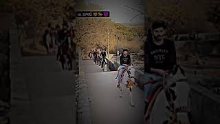 Junagadh Horse Riding Video