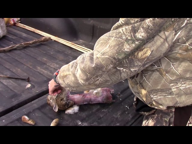 Watch How to Clean a Wild Rabbit on YouTube.