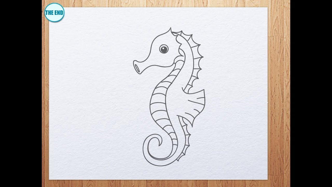How to draw seahorse - YouTube