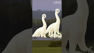 Juric Bork