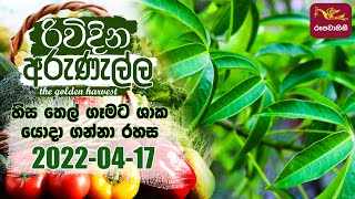 Rividina Arunella - 2022-04-17 | Agriculture Programme