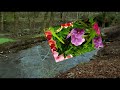 Innersense ~ Bekki Williams