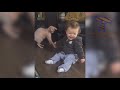 Have you EVER LAUGHED HARDER? - Ultra FUNNY CATS