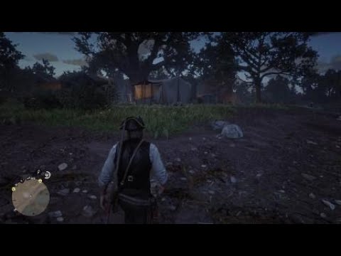 Dutch doesn't approve Arthur's new pirate hat - Red Dead Redemption 2
