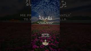 الله لطيف بعباده يرزق من يشاء
