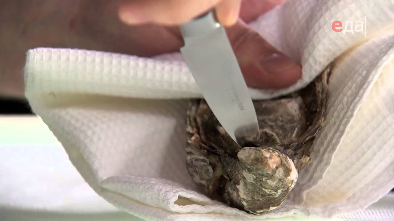 Чем открыть устрицу в домашних условиях Чем открыть устрицу в домашних условиях