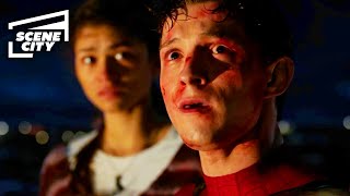 Spider-Man No Way Home: Peter Meets Other Spider-Man (Tom Holland, Tobey Maguire
