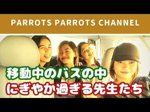 パロッツ君の先生たちと遊びに行くとこんな感じ