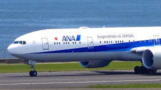50 Takeoffs And Landings At Tokyo Haneda Airport Hndrjtt