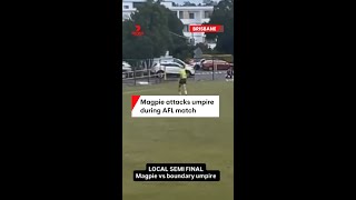 Magpie Attacks Umpire During Afl Match