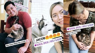 THE BEST CAT & DOG CAFE IN THE PHILIPPINES! (July 20, 2017) - saytioco