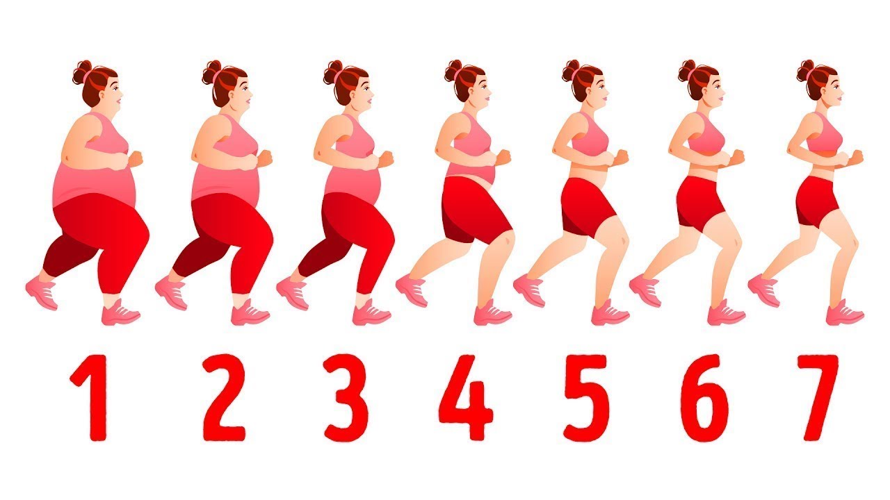 Упражнения Для Снижения Веса Тела Тест