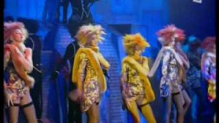 Lido De Paris - 2003 - Bonheur - Chats