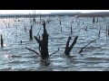 Döme Gábor - Extrém horgászat a Lake Fork víztározón