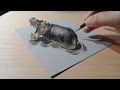 Drawing a 3D Hippo, Trompe-l'oeil