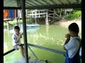 พยานาค แม่น้ำโขง