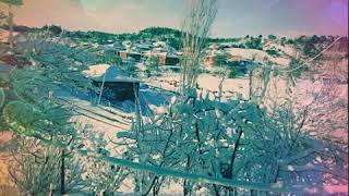Canım Ailem