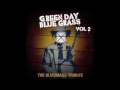 Brain Stew - Blue Grass Cover